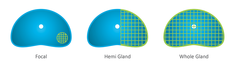 clincal-appication2017